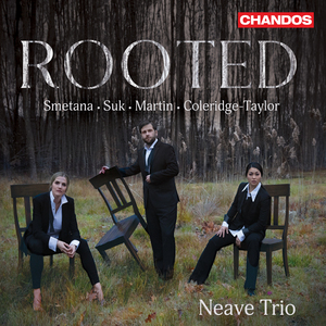 Piano Trio in C Minor, Op. 2: II. Andante