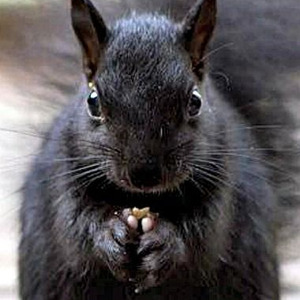 Jermaine's Interlude (slowed)