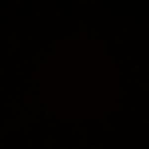 fallen angel (feat. gr3ysoul)