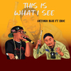 Antonio Blue - This Is What I See