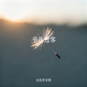 平凡过客