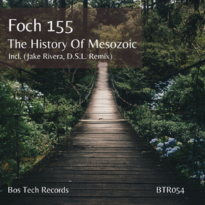 The History of Mesozoic