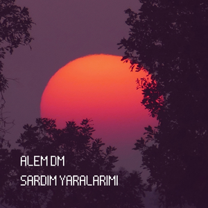 Sardım Yaralarımı