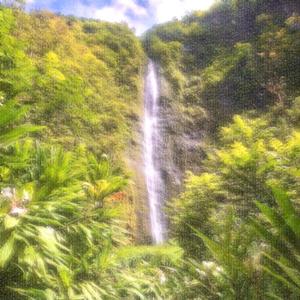 National Forest Reserve