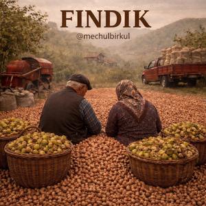 FINDIK