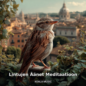 Lintujen Äänet Meditaatioon ja Mielen Rauhoittamiseen, Pt.6