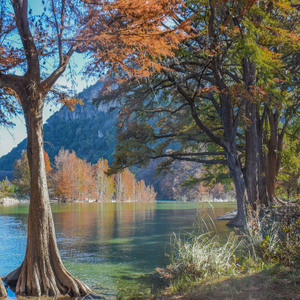 수면파 (치유의 소리)