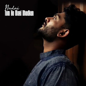 Tum Ho Meri Dhadkan