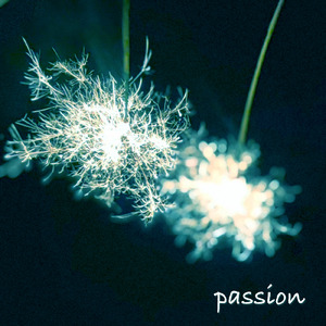 passion (feat. 片喰)