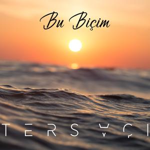 Bu Biçim