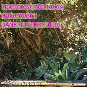 Rainforest Meditation Kuku Yalanji