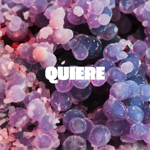 Quiere