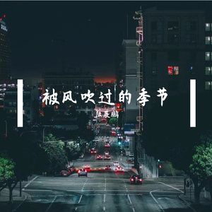 被风吹过的季节