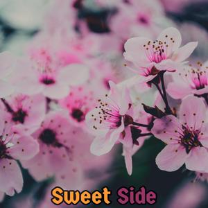 Planned Obsolescence