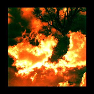 Рядом, но далеко