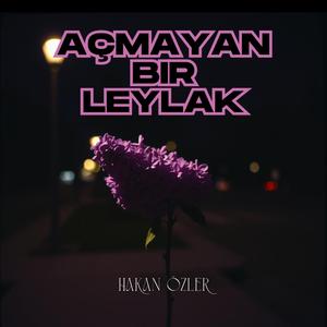 Açmayan Bir Leylak