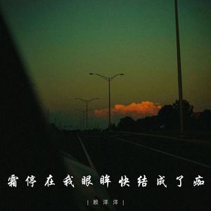 霜停在我眼眸快结成了痂
