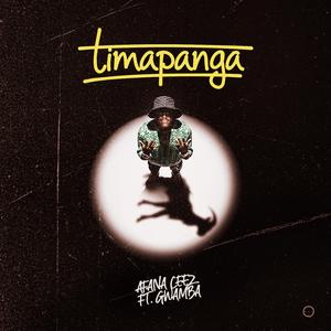 Timapanga (feat. Gwamba)