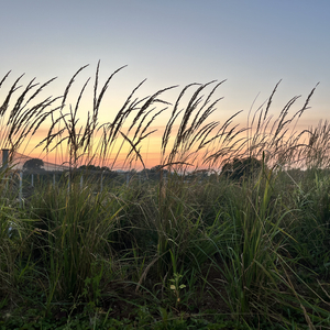 中式陷阱节拍之韵