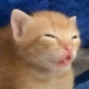 Unaccommodating (slowed)