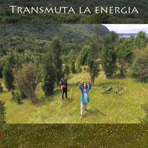 Transmuta la Energía