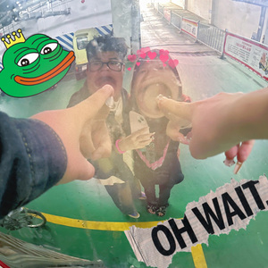 The blind box of love(爱的盲盒)