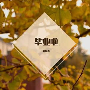 再见再见（川大版）