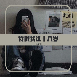 我恨我这十八岁