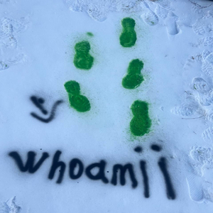 Гиги за шаги
