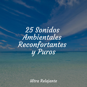 Fluir