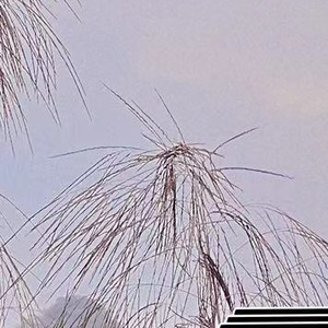 时钟在转动 伴奏