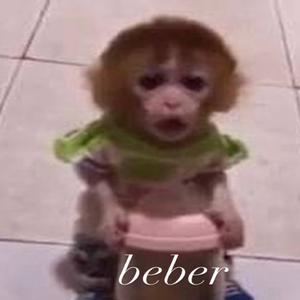 beber