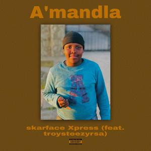 Amandla (feat. troysteezyrsa)