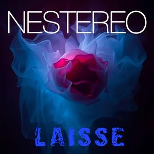 Laisse
