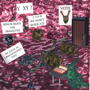 Launch of the Googolbyte SpaceChip