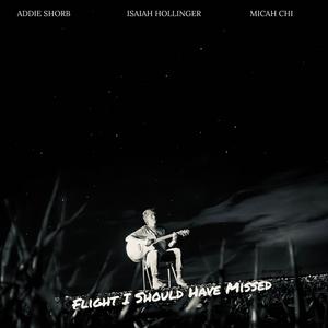 Flight I Should've Missed (Stripped)