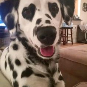 To Thee Hotties (sped up)