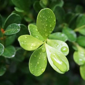 还是会想你 （重复了几百遍）