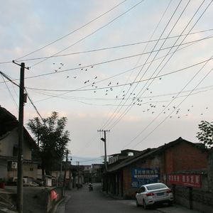 明天不会来临 ft.熊小虫