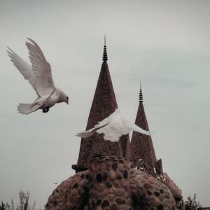 如果初雪就相爱吧