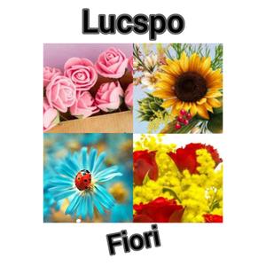 Fiori