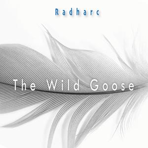 The Wild Goose