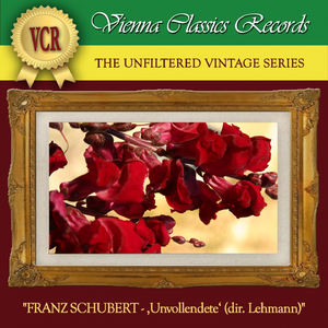 Sinfonie No. 8 in B Minor, D. 759 "Unvollendete": II. Andante con moto