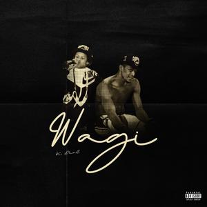 Wagi