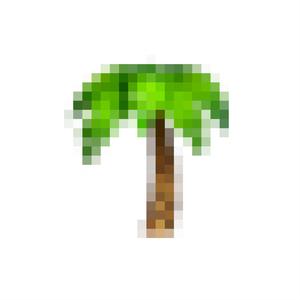 SALY