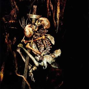 蟾蜍点燃了香水