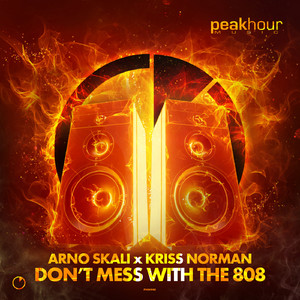 Don't Mess With The 808 (Radio Edit)