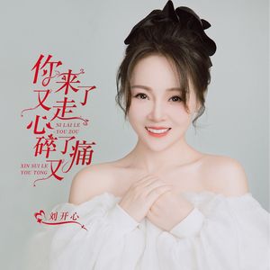 你来了又走心碎了又痛