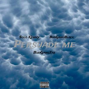 Persuade Me