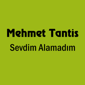 Sevdim Alamadım